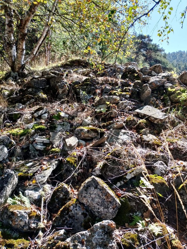 На территории комлекса «Лялах» обнаружена ранее не известная склеповая гробница.

Сотрудники музея-заповедника во время очередного обхода на территории «Лялах» - крупного башенного комплекса замкового типа, обнаружили ранее не известную наземную склеповую гробницу в руинированном виде.

Усыпальница находится на склоне горы, в юго-западном направлении от башен, в лесном массиве. Как известно, склеповые могильники возводились на окраинах поселений, на горных склонах.

Склеп полностью разрушен, сохранились лишь юго-западный и юго-восточный углы на высоту 0,7 и 0,8 м. Объект в плане прямоугольный, в основании имеет размеры 2,70 х 4,60, сложен из тесанного белого камня.

Для определения датировки объекта, выяснения наличия или отсутствия костного материала и воссоздания конструктивных особенностей сооружения требуются дальнейшие исследовательские работы.

Напомним, что  ранее, в ноябре прошлого года  на территории комплекса также были обнаружены коллективные гробницы подземного типа.