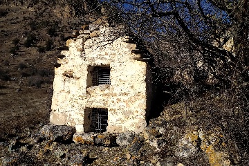 Тори