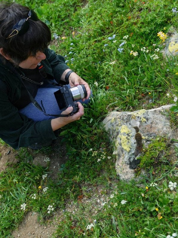 Фотоконкурс на курорте «Мамисон».

На курорте «Мамисон» пройдёт фотоконкурс для любителей и профессионалов. Период проведения — с 21 августа по 13 сентября. Участие — очное, требуется присутствие на территории курорта.

Старт мероприятия — 21 августа в 11:00 на центральной площади станции «Калак–2025». В программе — знакомство участников, подъём на станцию «Зарамаг–1», фотосъёмка и обсуждение приёмов работы со светом и пейзажем с приглашённым фотографом.

С 22 августа по 4 сентября участники смогут возвращаться на курорт, чтобы подобрать ракурсы и сформировать серию кадров.

Будут определены два победителя:

победитель в основной номинации — по решению приглашённого фотографа и жюри;
обладатель приза зрительских симпатий — по итогам голосования подписчиков сообщества «Мамисона» (4–11 сентября).

Лучшие работы представят, разберут и наградят 13 сентября.