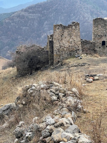 Кели