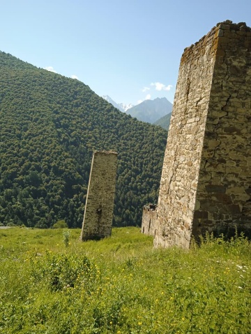 Тарш