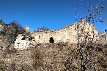 Тори