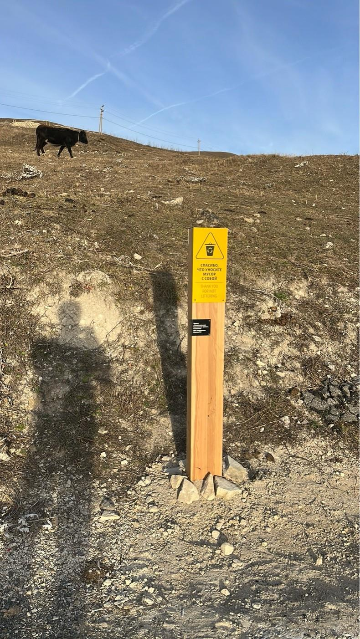 Знак «Не мусорить»