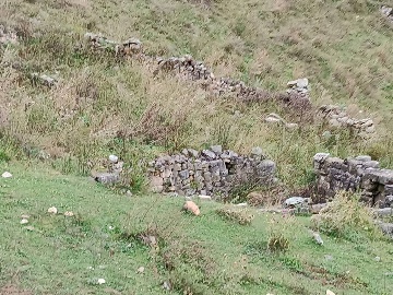 Нийкоте