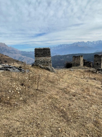 Кели