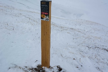 Информационный столб