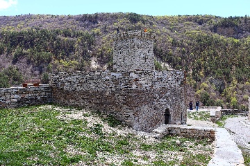 Аргунский заповедник