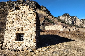Тори