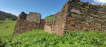 Дакли